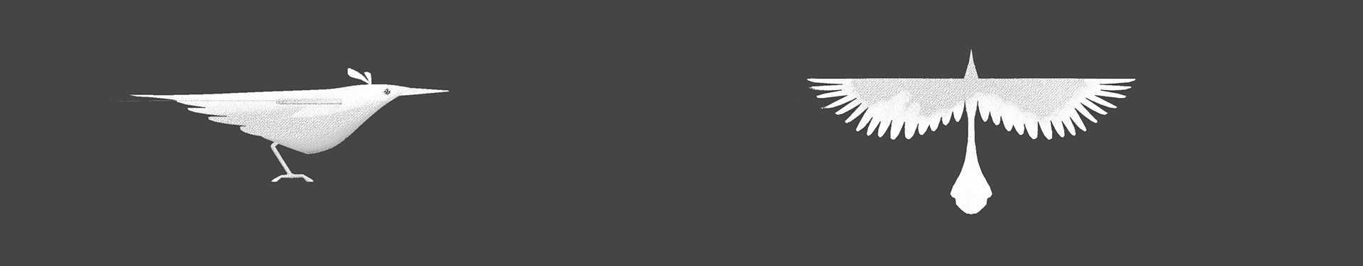 Hero bird first modeling pass